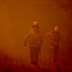 تجارت گردان | تداوم آتش‌سوزی جنگل‌ها در استرالیا (+عکس)