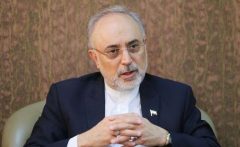 صالحی: آژانس درخواست دیگری برای بازرسی از ایران ندارد