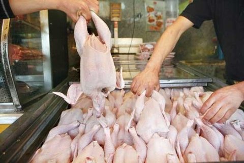 قاچاق مرغ از شهرستان‌ها به تهران برای کسب سود بیشتر/ برطرف شدن کمبود مرغ در آبان ماه