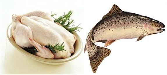 تجارت گردان | مرغ ارزان شد/قیمت هر کیلو ماهی سالمون نروژ ۱۷۵ هزار تومان