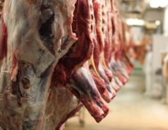 افزایش ۱۵ هزار تومانی قیمت گوشت گوسفندی/ صادرات دام در ماه‌های پایانی سال منطقی نیست
