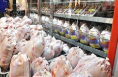 مرغ ۴۰ هزار تومانی نتیجه افزایش تقاضا در محرم/ هئیت‌های مذهبی سراغ تشکل‌های مرغداران بروند