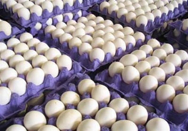 تجارت گردان | قیمت هر شانه تخم مرغ در تهران ۲۰ هزار تومان شد