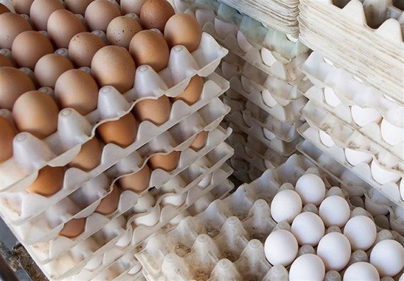 تجارت گردان | تخم‌مرغ رسماً ۱۵ درصد گران شد/گرانفروشی ۳ هزار تومانی در بازار