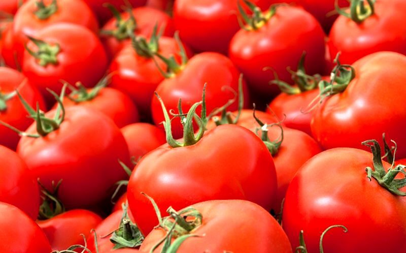 تجارت گردان | قیمت گوجه فرنگی در بازار روند کاهشی در پیش گرفت