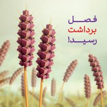 اعلام برندگان قرعه‌‏کشی هشتمین جشنواره حساب‌‌های قرض‌‏الحسنه بانک اقتصادنوین