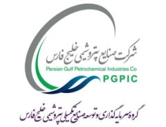 شرکت «گروه پتروشیمی سرمایه‌گذاری ایرانیان» به شرکت «گروه سرمایه‌گذاری و توسعه صنایع تکمیلی پتروشیمی خلیج‌فارس» ‏تغییر نام داد