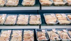کاهش قیمت مرغ با تصمیم جدید وزارت جهاد کشاورزی