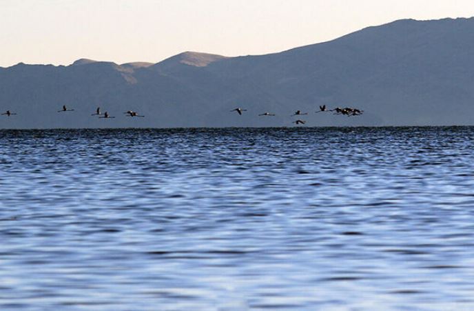 افزایش ۶۰ سانتیمتری تراز دریاچه ارومیه