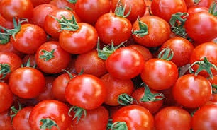 قیمت گوجه کاهش یافت/ آرامش در بازار میوه