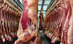 تجارت گردان | تمایل دامداران به قاچاق دام بیشتر شد/افزایش ۵ هزار تومانی قیمت گوشت گوسفندی