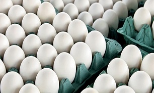 صادرات ۶ هزار و ۵۰۰ تن تخم مرغ در ۲ ماهه امسال