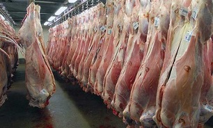 گوشت گوسفند کیلویی ۱۲۵ هزار تومان/ قیمت سازمان حمایت کارشناسی نیست