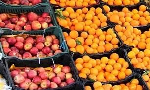 صادرات سیب و پرتقال کنترل می‌شود