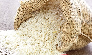 پافشاری بانک مرکزی بر عدم تخصیص ارز به واردات برنج/ احتمال مرجوع شدن برنج های دپو شده در گمرک