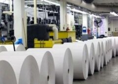 افزایش حدود ۸۰۰ درصدی قیمت کاغذ روزنامه طی ۵ سال/ لغو تخصیص ارز علت گرانی قابل توجه کاغذ/ تولید داخلی نمی‌تواند پاسخگوی نیاز کشور باشد