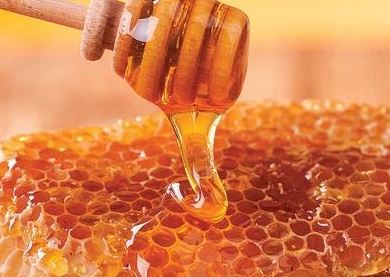 کاهش سرانه مصرف عسل حتمی است/ فقر غذایی در کلنی‌های زنبورهای کشور