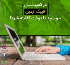آغاز کمپین محیط زیستی بانک ایران زمین / با نوشتن، درخت بکار!
