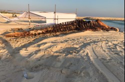 علت مرگ دومین نهنگ یافت شده در ساحل کیش هنوز مشخص نیست