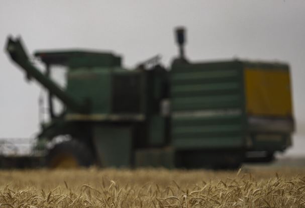 سهام هدلینگ کشاورزی بنیاد مستضعفان تا پایان امسال عرضه می‌شود