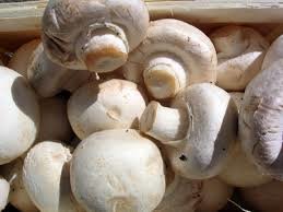 تولید قارچ به ۲۱۰ هزار تن می رسد/ حداکثر قیمت منطقی هر کیلو قارچ ۵۵ هزار تومان