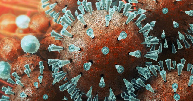 تجارت گردان | احتمال جهش و افزایش بیماریی‌زایی "کروناویروس"