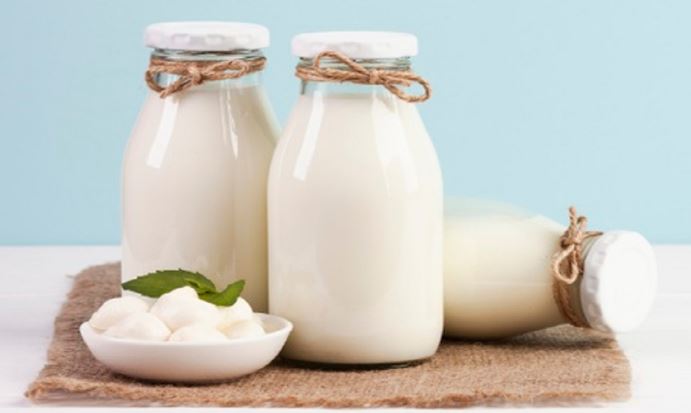 افزایش زیان انباشته دامداران در تولید شیر/ درخواست افزایش قیمت مصوب شیر را داده‌ایم