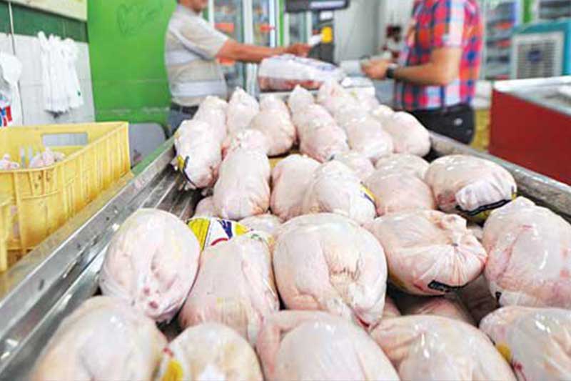 فروش مرغ منجمد به نرخ ۱۳ هزار و ۵۰۰ تومان
