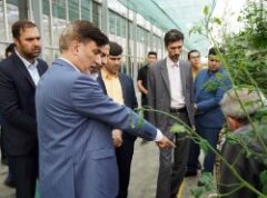 تکمیل زنجیره ارزش و افزایش بهره وری، راهبرد توسعه کشاورزی مدرن در منطقه آزاد ارس