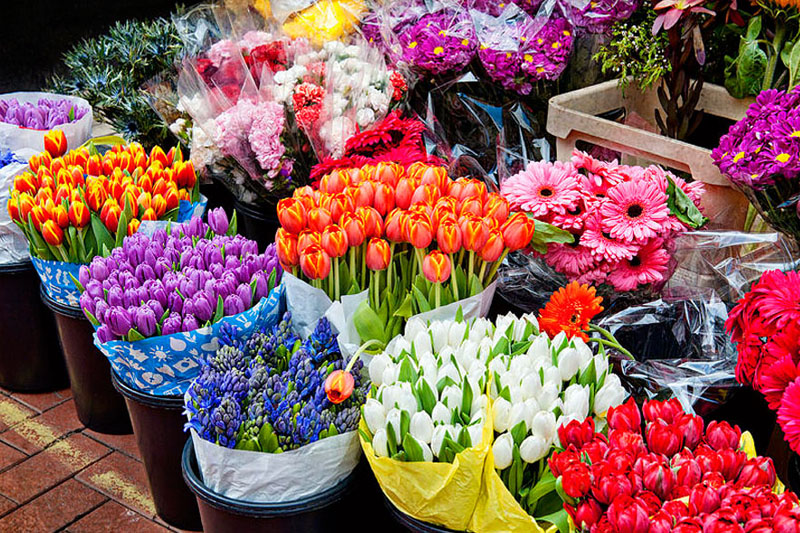 گل های تزئینی شب یلدا رسید / صادرات گلهای ایرانی به روسیه و قزاقستان