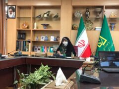 ابتکار :‌ ‏لایحه معروف به «رومینا » به مجلس شورای اسلامی تقدیم شد