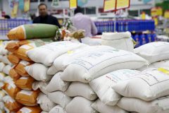 افزایش افسار گسیخته قیمت برنج در سرزمین شالیزارها