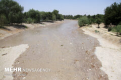 تخلفات در بالادست سد نکوآباد علت کاهش جریان آب زاینده‌رود است