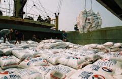 دپوی برنج‌های در معرض فساد در بندر شهید رجایی و بوشهر