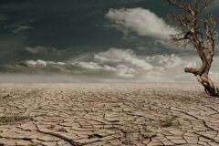 سازگاری با کم‌آبی، لازمه گذر از تغییرات اقلیمی و بحران آب جهانی