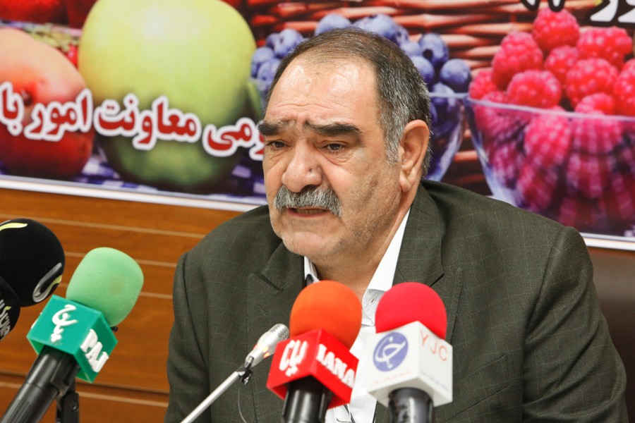ارزآوری ۹۷ میلیون دلاری صادرات کیوی ایران