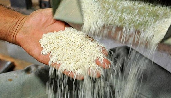 توزیع ۸۰ درصدی برنج واردتی بدون دریافت ارز، تجار را به دردسر انداخت