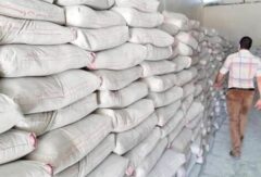 قیمت سیمان در عراق چهار برابر ایران است/تاثیر اندک سیمان در قیمت مسکن