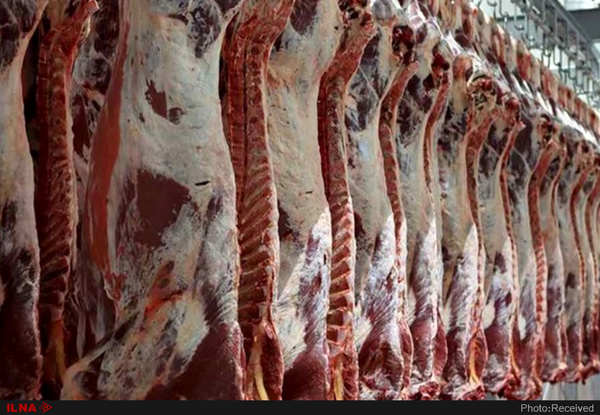 تجارت گردان | افراط در واردات گوشت قرمز، تولید داخل را بی‌مشتری کرد/ ۲۵ درصد بیش از نیاز گوشت دام سنگین وارد کرده‌ایم/ فروش نقدی دام متوقف شده است